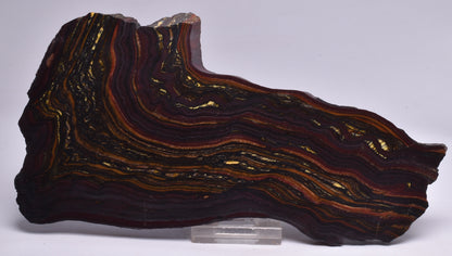 BANDED TIGER IRON Polished Slice, AUSTRALIA S43