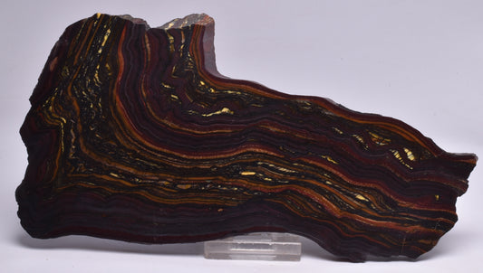 BANDED TIGER IRON Polished Slice, AUSTRALIA S43