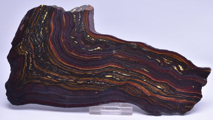 BANDED TIGER IRON Polished Slice, AUSTRALIA S43