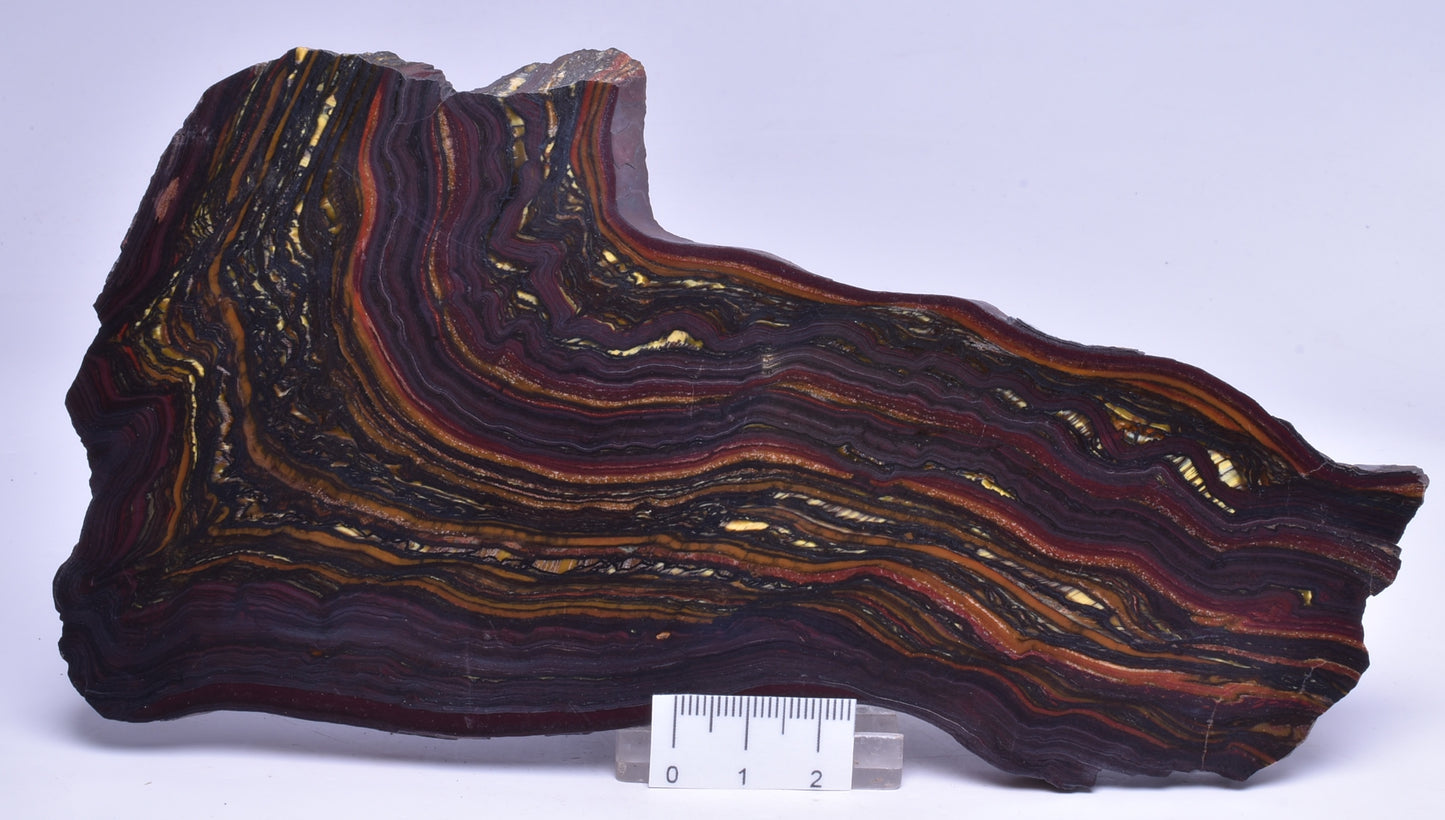BANDED TIGER IRON Polished Slice, AUSTRALIA S43