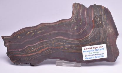 BANDED TIGER IRON Polished Slice, AUSTRALIA S43