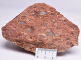 ZIRCON, Metaconglomerate Narryer Gneiss Slice, Jack Hills, Australia F327