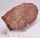 ZIRCON, Metaconglomerate Narryer Gneiss Slice, Jack Hills, Australia S87