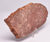 ZIRCON, Metaconglomerate Narryer Gneiss Slice, Jack Hills, Australia S87