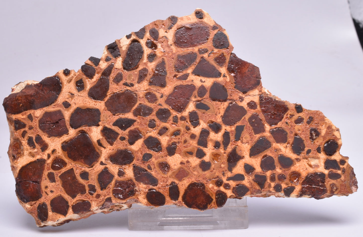 BAUXITE, Aluminium Hydroxide, Polished Slice, Australia S99