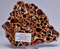 BAUXITE, Aluminium Hydroxide, Polished Slice, Australia S98