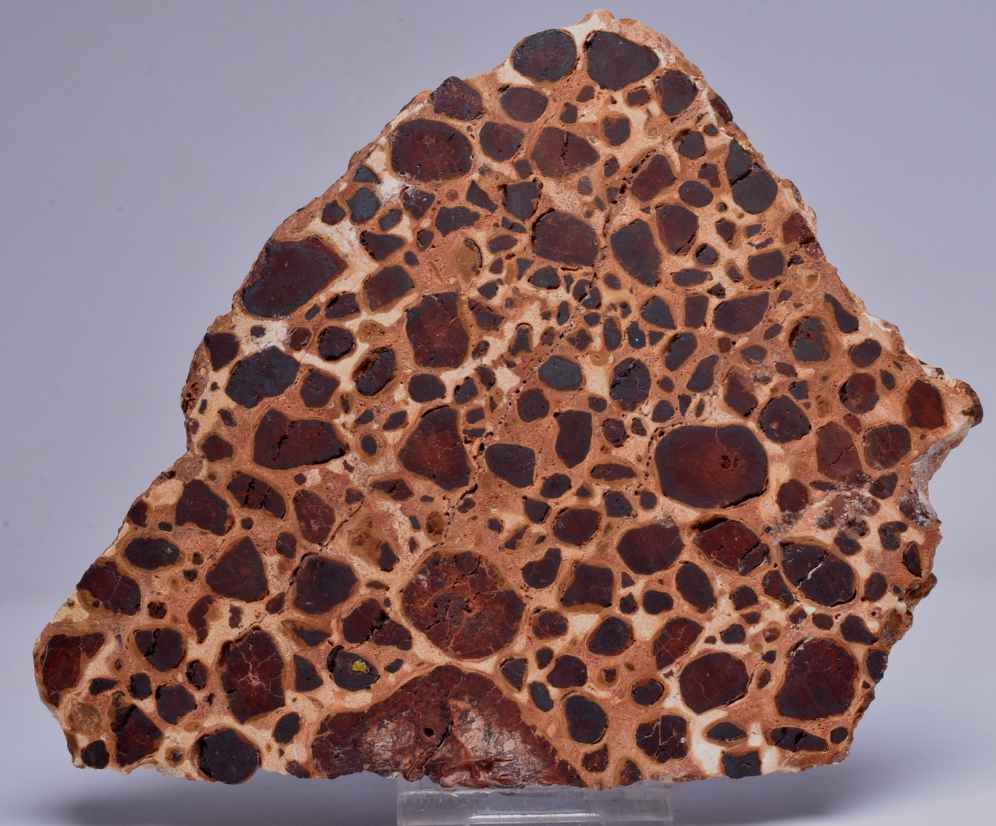 BAUXITE, Aluminium Hydroxide, Polished Slice, Australia S98