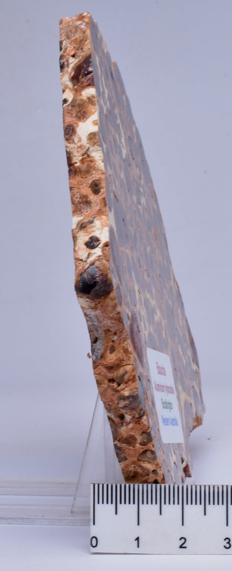 BAUXITE, Aluminium Hydroxide, Polished Slice, Australia S98