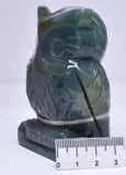 BLOOD STONE CRYSTAL CARVED OWL P595