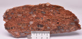 ZIRCON, Metaconglomerate Narryer Gneiss Slice, Jack Hills, Australia S124