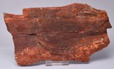 STROMATOLITE from the Jerrinah Formation, Pilbara, Western Australia S142