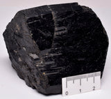 POVONDARITE BLACK TOURMALINE, TOMKAP MINE, AUSTRALIA P167