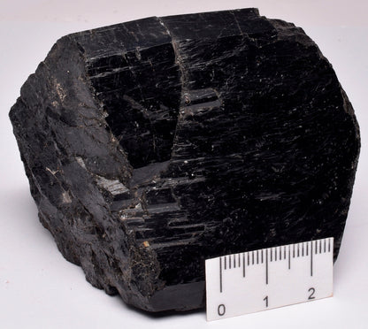 POVONDARITE BLACK TOURMALINE, TOMKAP MINE, AUSTRALIA P167