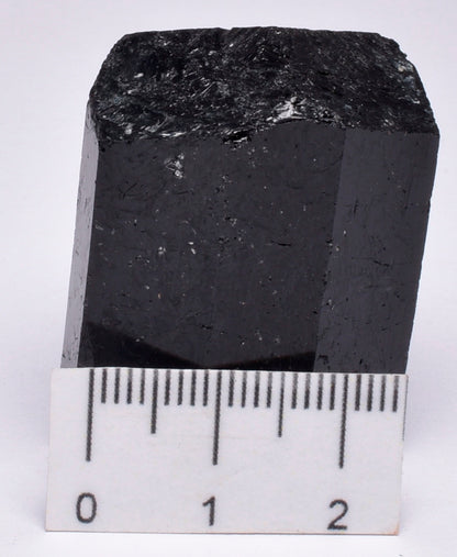 POVONDARITE BLACK TOURMALINE, TOMKAP MINE, AUSTRALIA P189