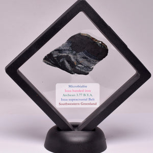 Stromatolite - Greenland