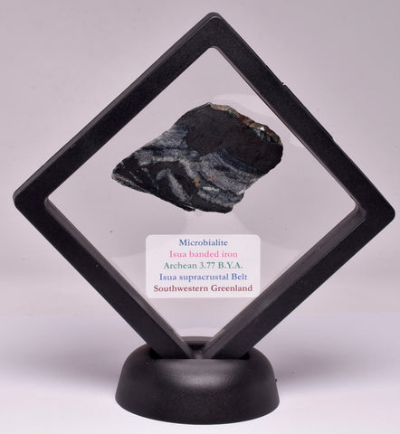 MICROBIALITE STROMATOLITE, ISUA BANDED IRON, 3.77 B.Y.A. GREENLAND S157