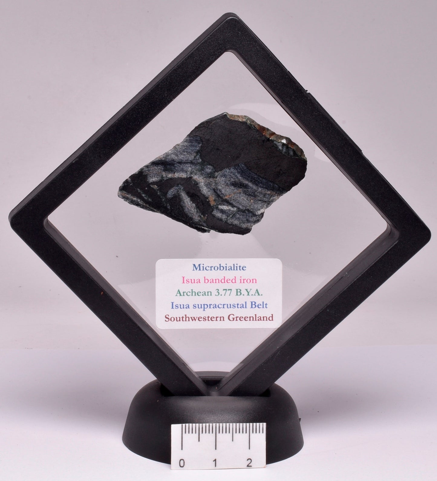MICROBIALITE STROMATOLITE, ISUA BANDED IRON, 3.77 B.Y.A. GREENLAND S157