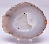 AGATE HALF, POLISHED FROM BRAZIL S170