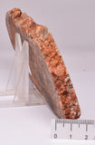 ZIRCON, Metaconglomerate Narryer Gneiss Slice, Jack Hills, Australia S189