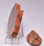 2 x ZIRCON, Metaconglomerate Narryer Gneiss, Jack Hills, Australia S233