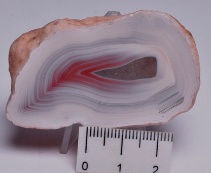 AGATE CREEK, Polished AGATE, AUSTRALIA P891