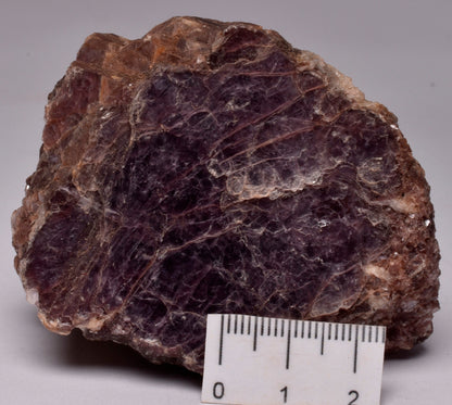 LEPIDOLITE CRYSTAL TUMBLE M11