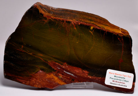 MARRA MAMBA TIGER EYE Polished Slice, Microbialite, Australia S243