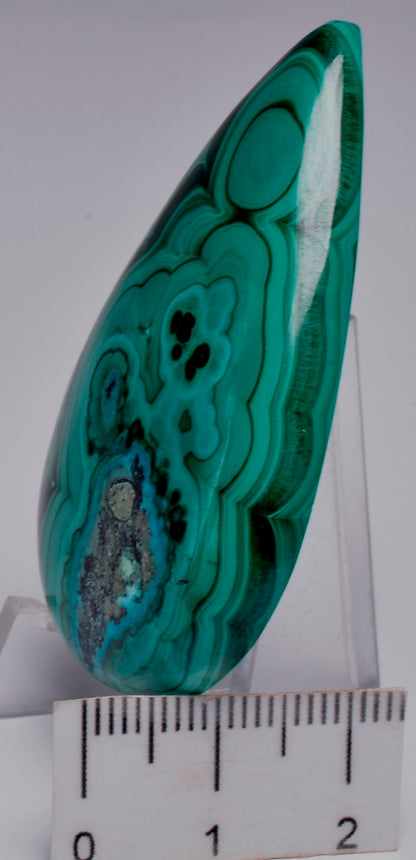 Malachite Polished Cabochon J131