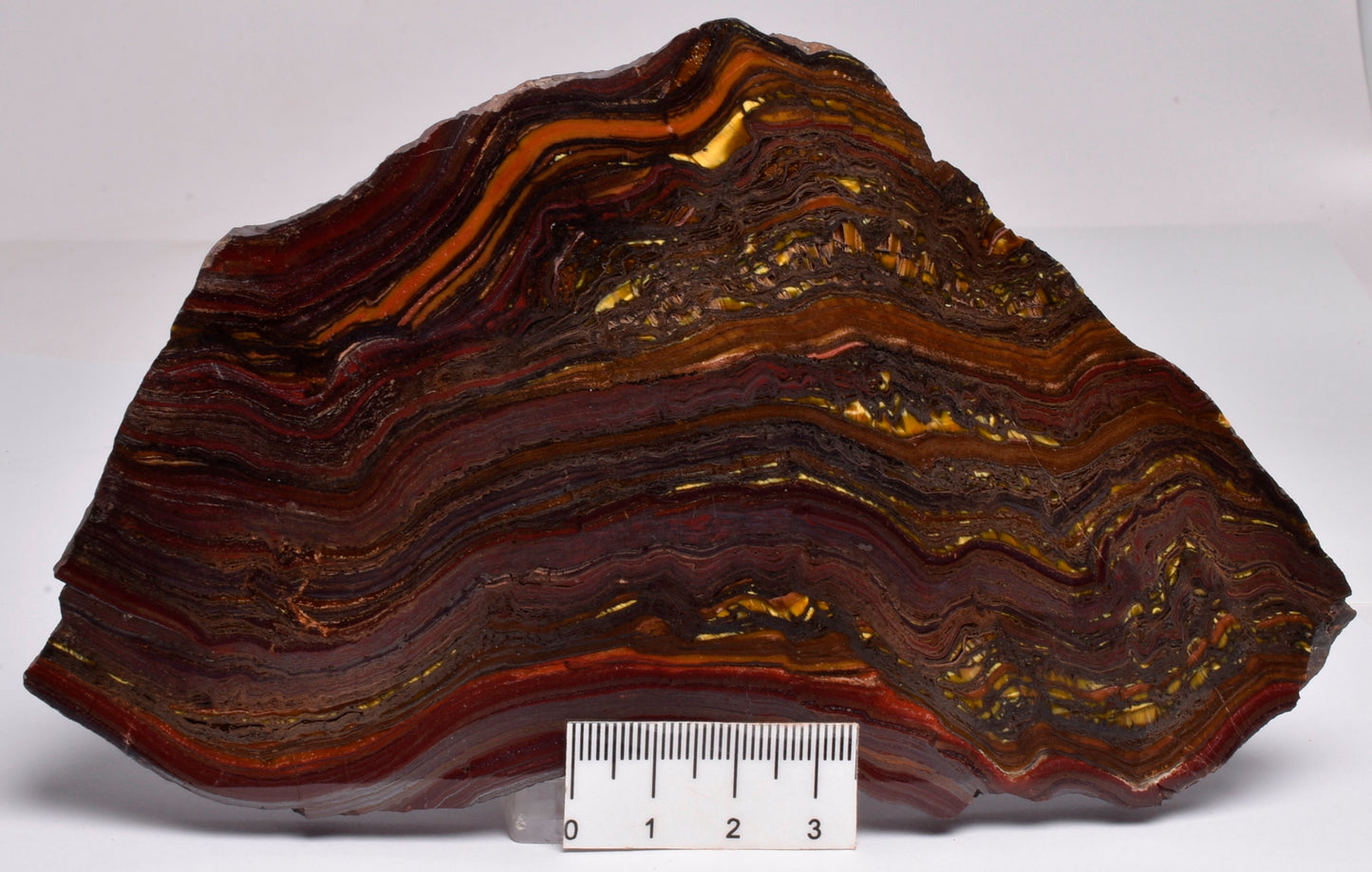 BANDED TIGER IRON Polished Slice, AUSTRALIA S284
