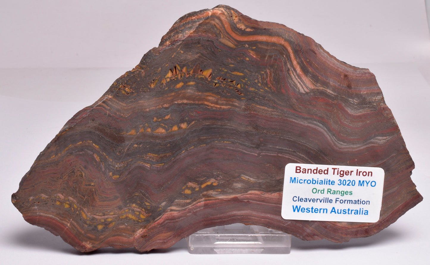 BANDED TIGER IRON Polished Slice, AUSTRALIA S284