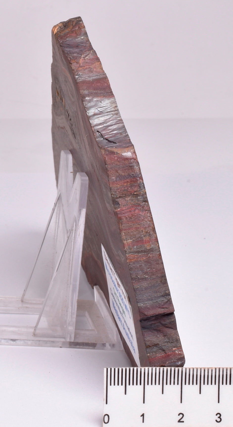 BANDED TIGER IRON Polished Slice, AUSTRALIA S284