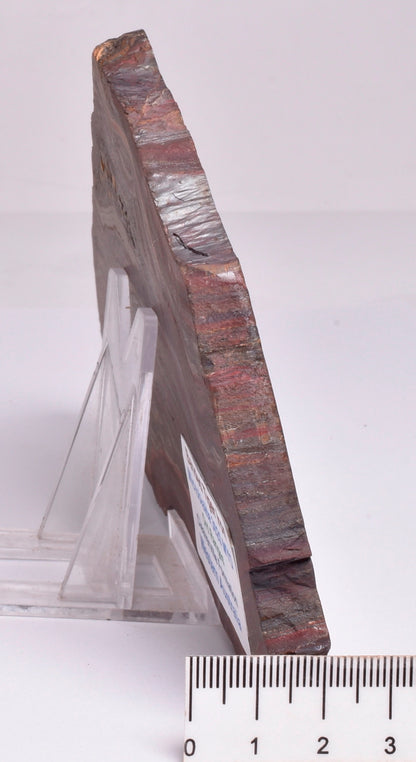 BANDED TIGER IRON Polished Slice, AUSTRALIA S284
