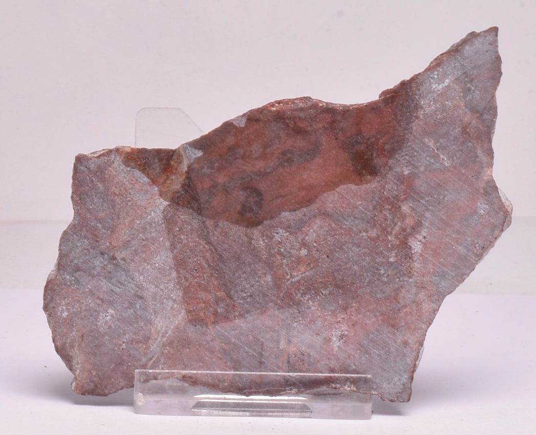 Stromatolite Inzeria Intia Fossil Polished Slice, N.T Australia S306