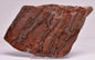 Stromatolite Inzeria Intia Fossil Polished Slice, N.T Australia S301