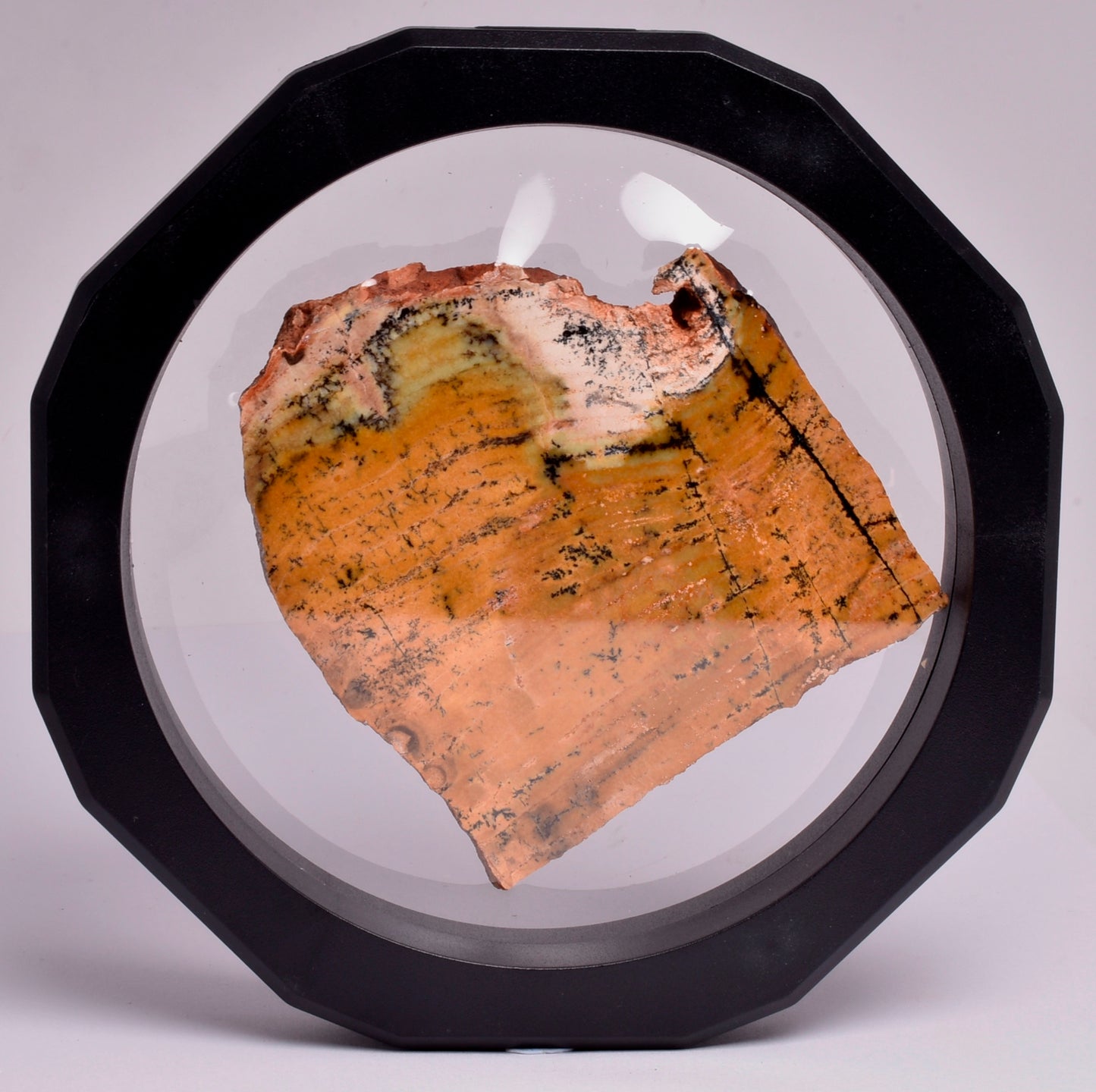MICROBIAL MAT, STRELLEY POOL SLICED STROMATOLITE, Australia S343
