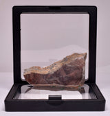 Stromatolite Inzeria Intia Fossil Polished Slice, N.T Australia S364