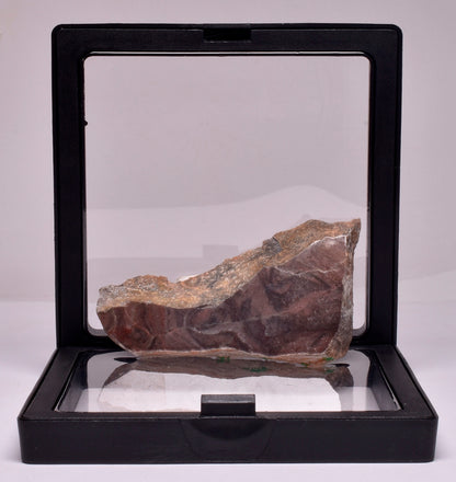 Stromatolite Inzeria Intia Fossil Polished Slice, N.T Australia S364