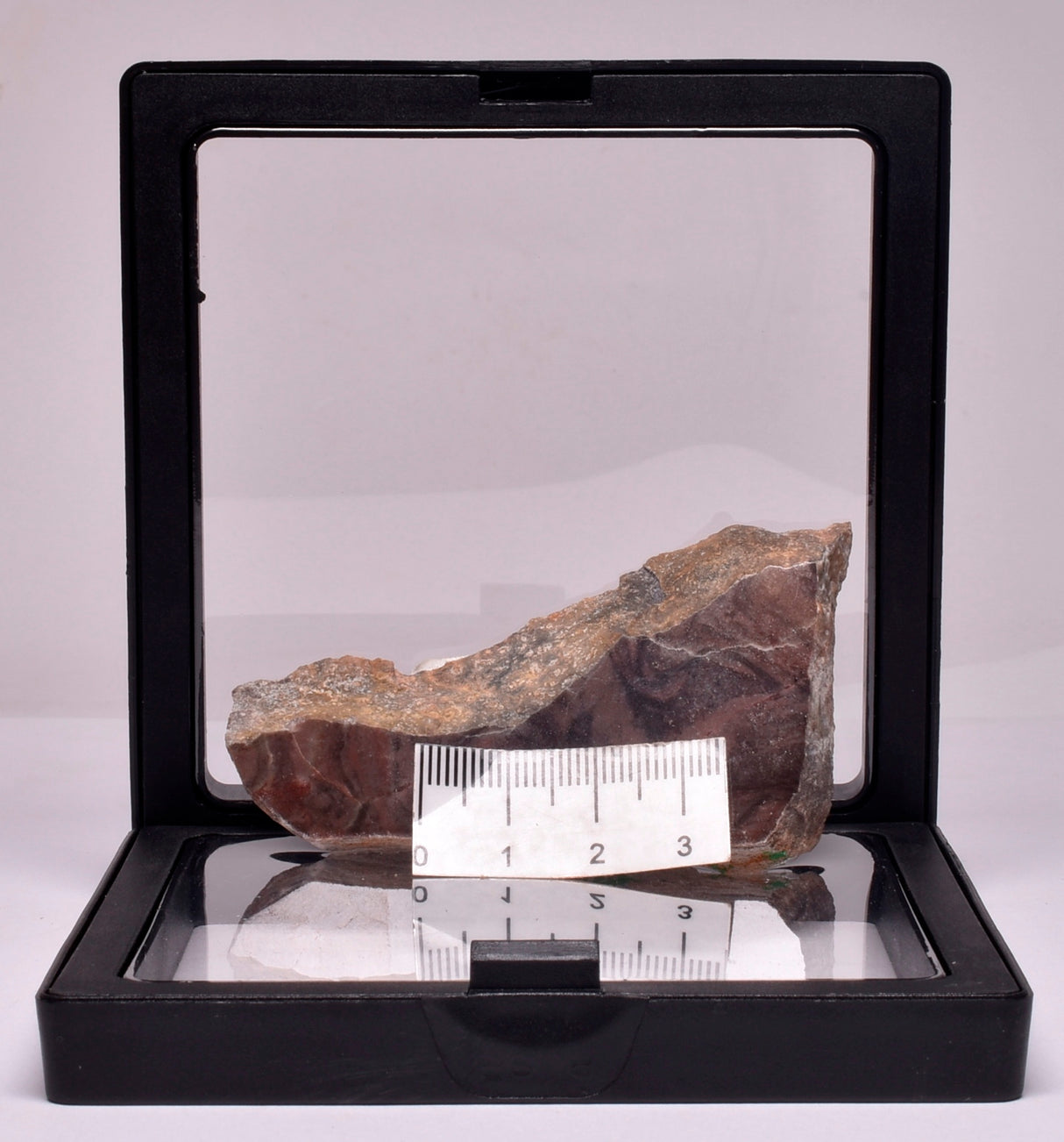 Stromatolite Inzeria Intia Fossil Polished Slice, N.T Australia S364