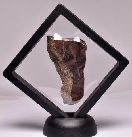 Stromatolite Inzeria Intia Fossil Polished Slice, N.T Australia S364