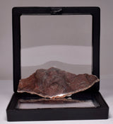 Stromatolite Inzeria Intia Fossil Polished Slice, N.T Australia S365
