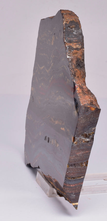 BANDED TIGER IRON Polished Slice, AUSTRALIA S401