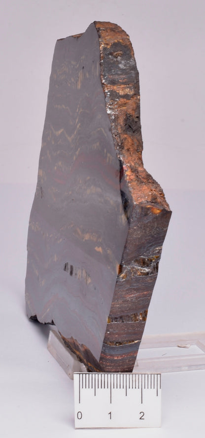 BANDED TIGER IRON Polished Slice, AUSTRALIA S401