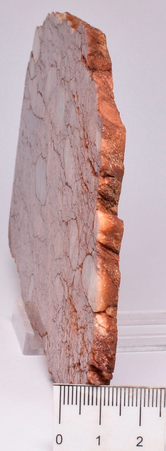 ZIRCON, Metaconglomerate Narryer Gneiss Slice, Jack Hills, Australia S653