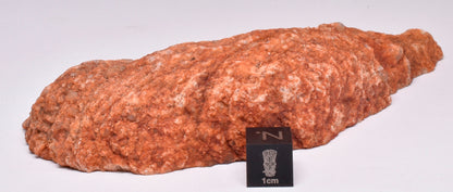 ZIRCON, Metaconglomerate Narryer Gneiss Slice, Jack Hills, Australia S656