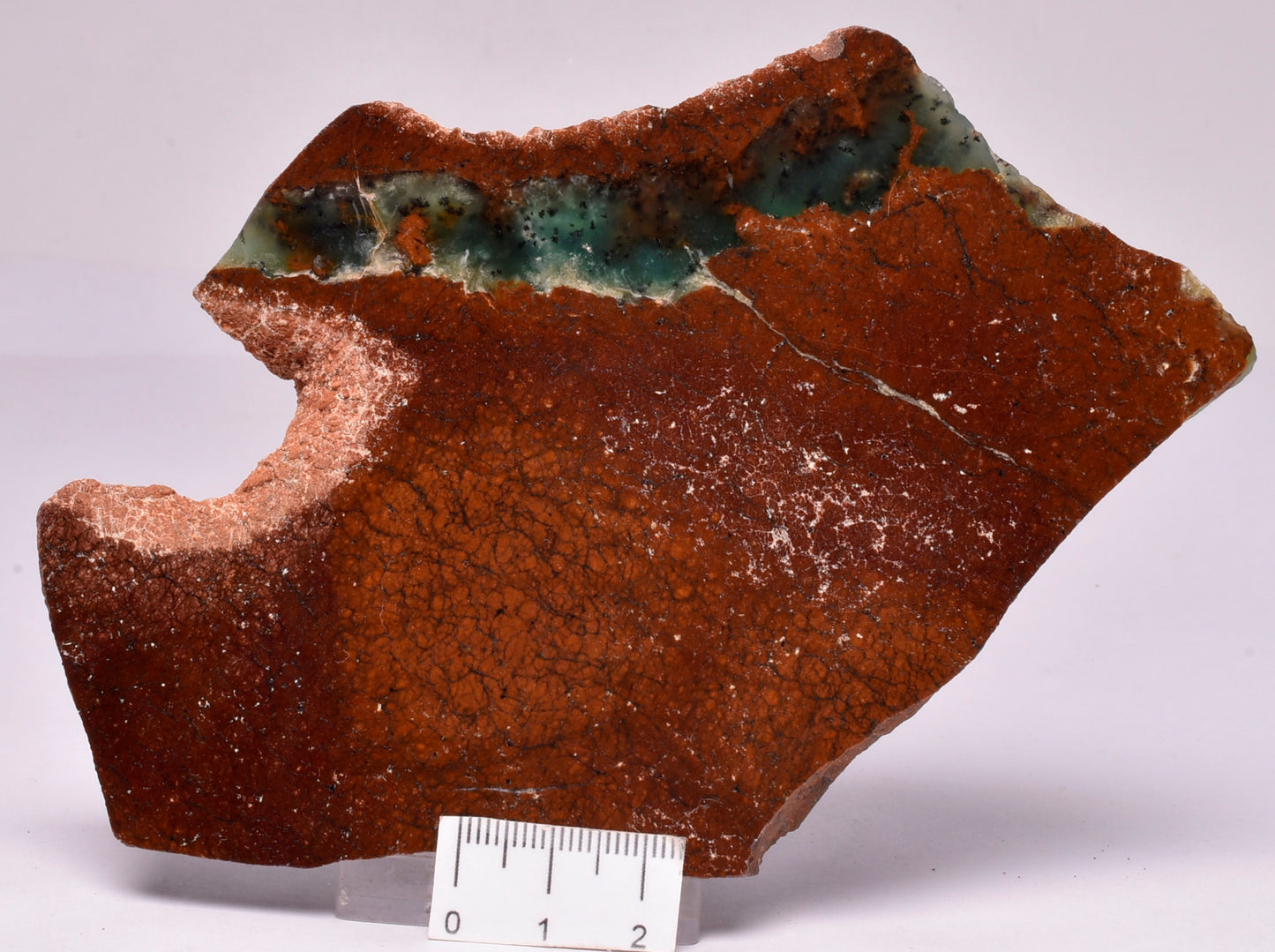 CHRYSOPRASE POLISHED SLICE S779