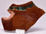 CHRYSOPRASE POLISHED SLICE S779