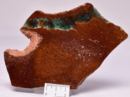 CHRYSOPRASE POLISHED SLICE S779