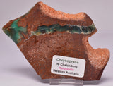 CHRYSOPRASE POLISHED SLICE S779