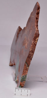 CHRYSOPRASE POLISHED SLICE, Western Australia S782
