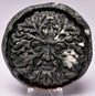 PRESELLI BLUESTONE GREEN MAN P594